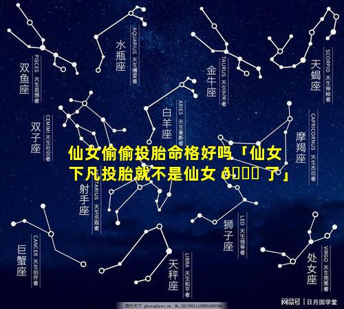 仙女偷偷投胎命格好吗「仙女下凡投胎就不是仙女 🐕 了」